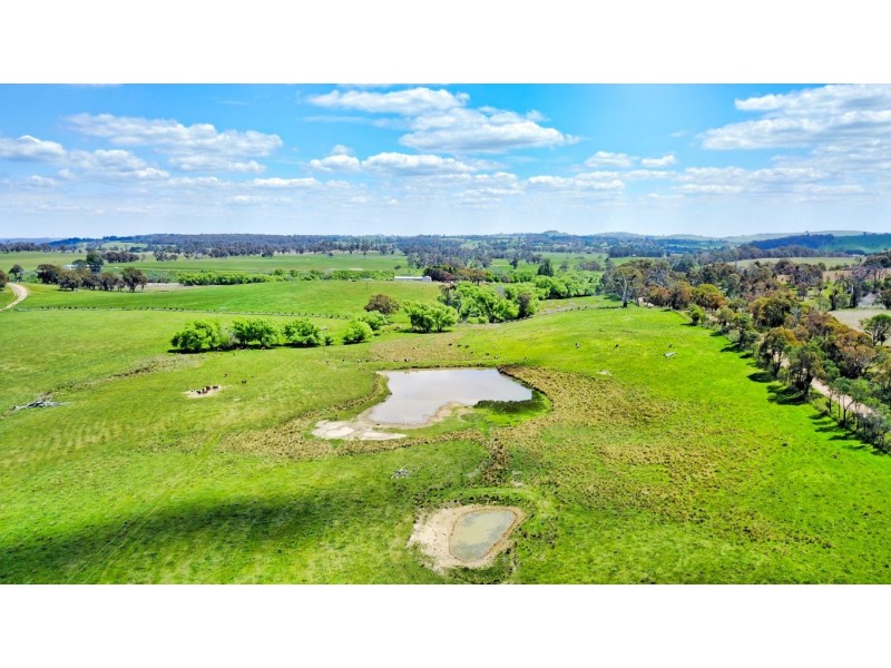 771 Neville Road, Neville NSW 2799