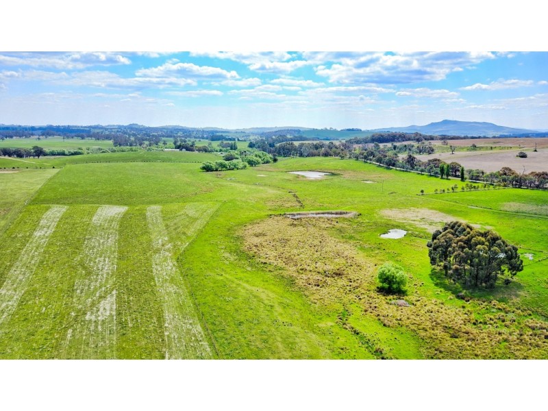 771 Neville Road, Neville NSW 2799
