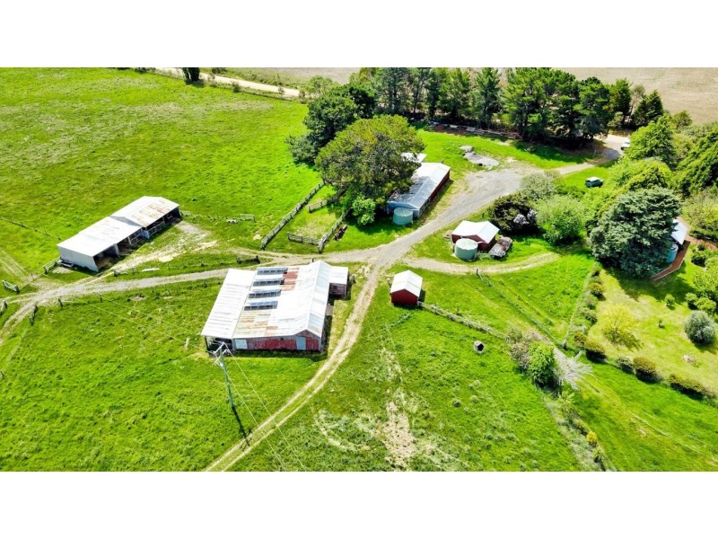 771 Neville Road, Neville NSW 2799