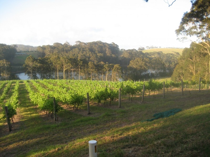 947 Old Highway, Narooma NSW 2546