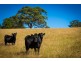 4072 Princes Highway, Coila NSW 2537