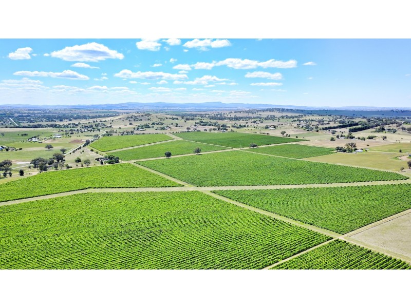 3994 Belubula Way, Canowindra NSW 2804