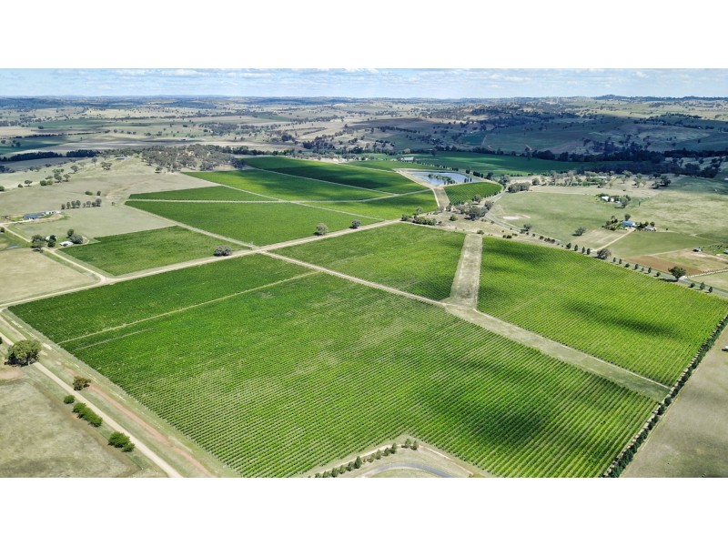 3994 Belubula Way, Canowindra NSW 2804