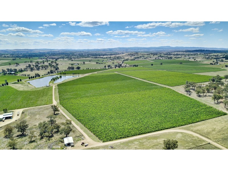 3994 Belubula Way, Canowindra NSW 2804