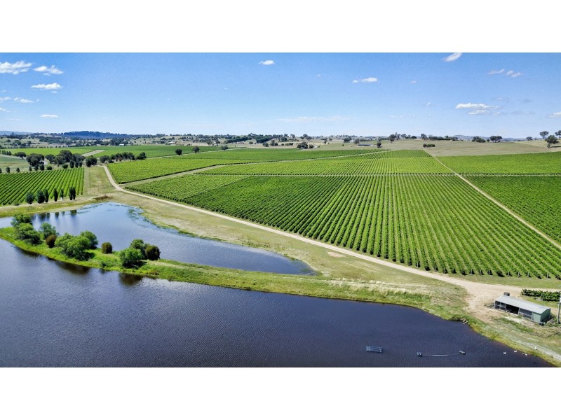 3994 Belubula Way, Canowindra NSW 2804