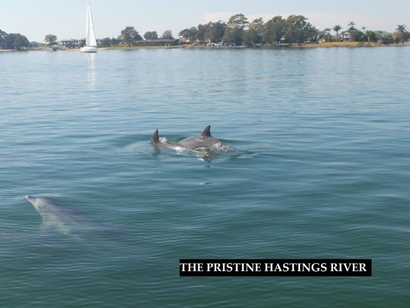 Port Macquarie NSW 2444