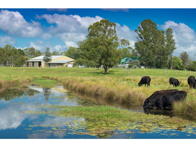 191 Glen Ora Road, Nabiac NSW 2312