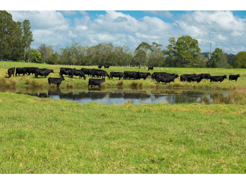 191 Glen Ora Road, Nabiac NSW 2312