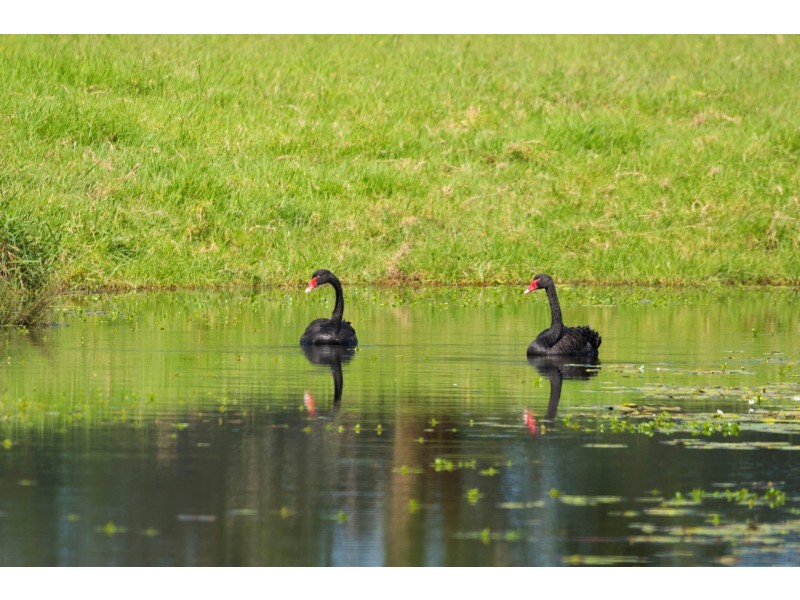 191 Glen Ora Road, Nabiac NSW 2312