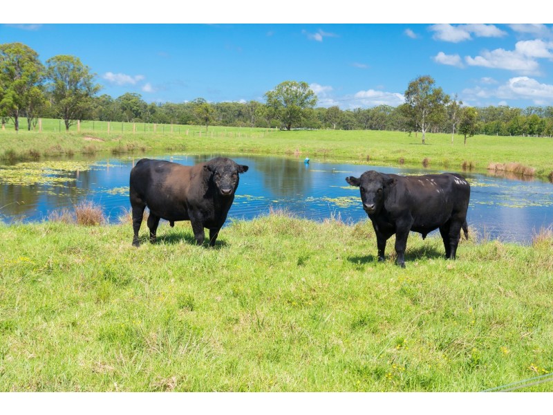 191 Glen Ora Road, Nabiac NSW 2312