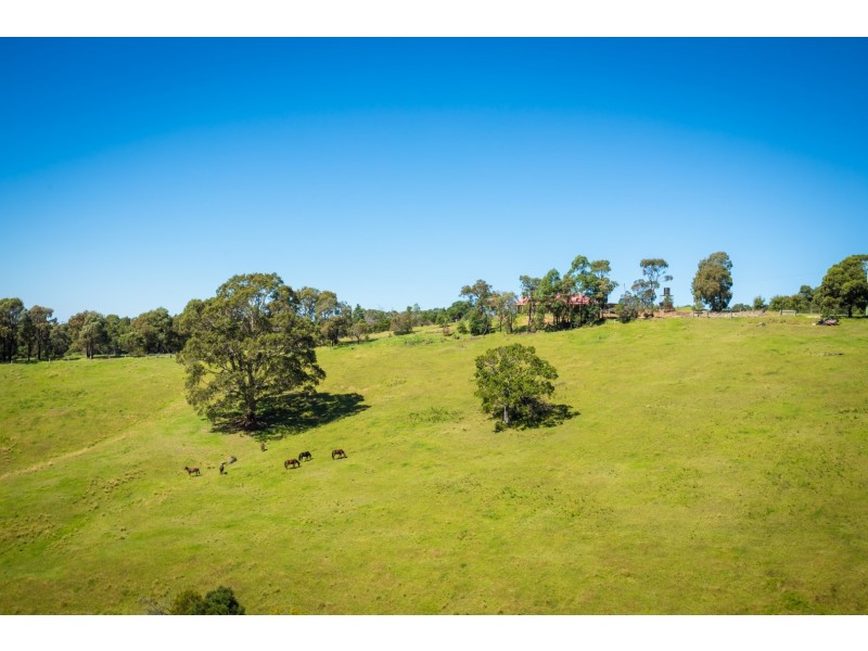 302-336 Punkalla-Tilba Road, Central Tilba NSW 2546