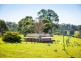 302-336 Punkalla-Tilba Road, Central Tilba NSW 2546