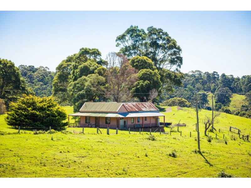 302-336 Punkalla-Tilba Road, Central Tilba NSW 2546
