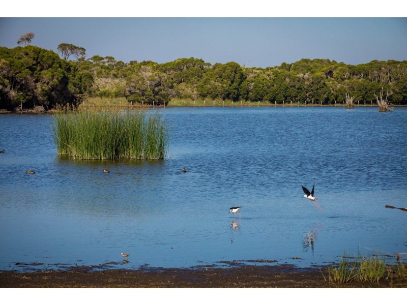 114 Youngs Road, Akolele NSW 2546