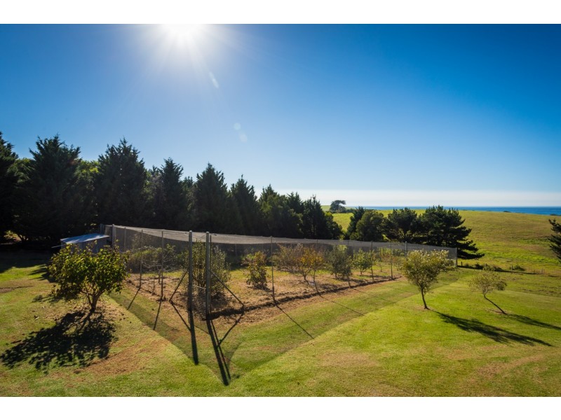 114 Youngs Road, Akolele NSW 2546