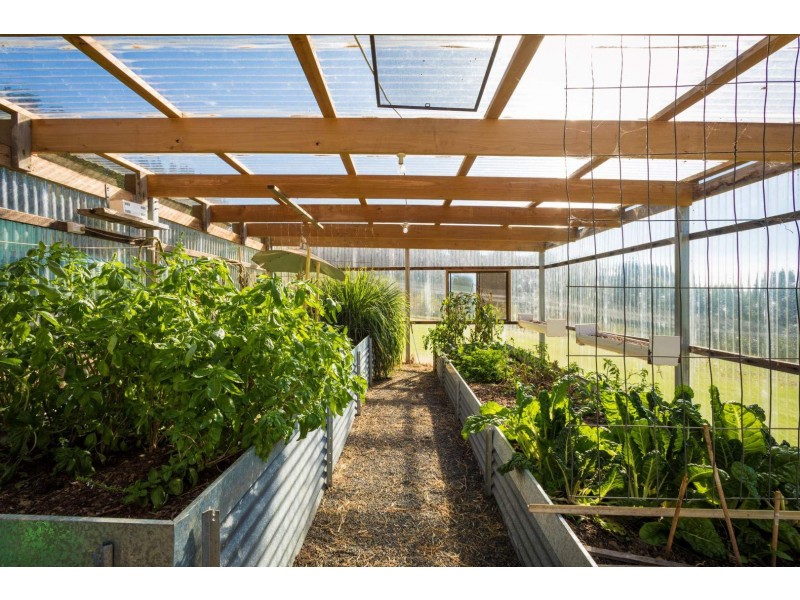 114 Youngs Road, Akolele NSW 2546