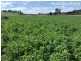 461 Warrangunia Road, Ilford NSW 2850