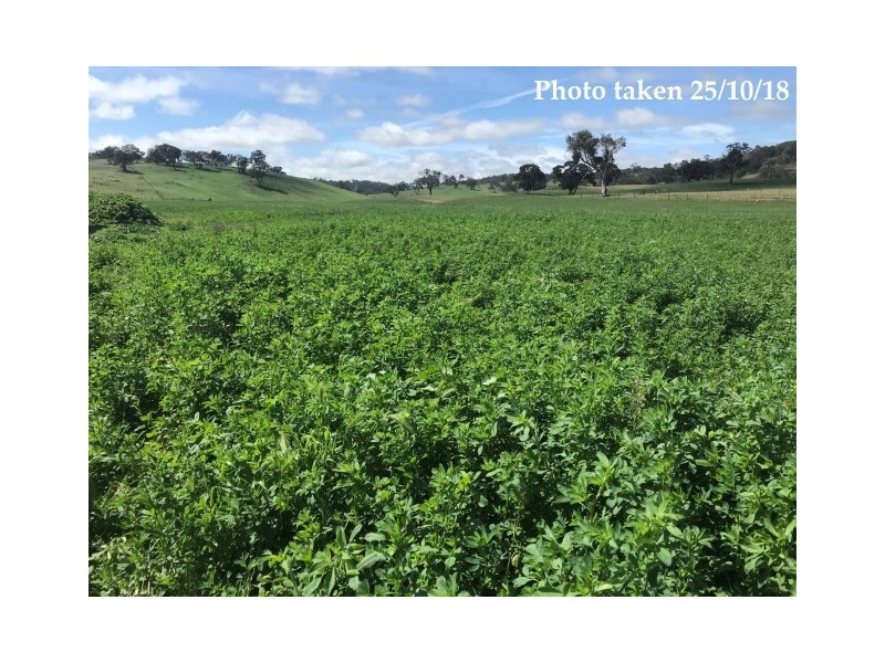 461 Warrangunia Road, Ilford NSW 2850