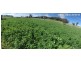461 Warrangunia Road, Ilford NSW 2850