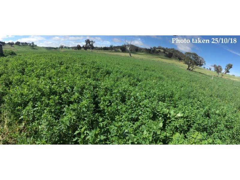 461 Warrangunia Road, Ilford NSW 2850