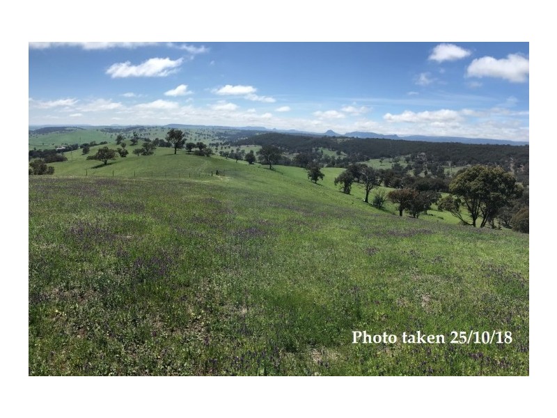 461 Warrangunia Road, Ilford NSW 2850