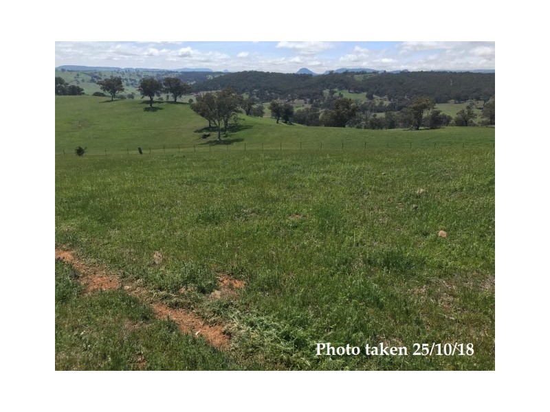 461 Warrangunia Road, Ilford NSW 2850
