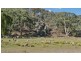461 Warrangunia Road, Ilford NSW 2850