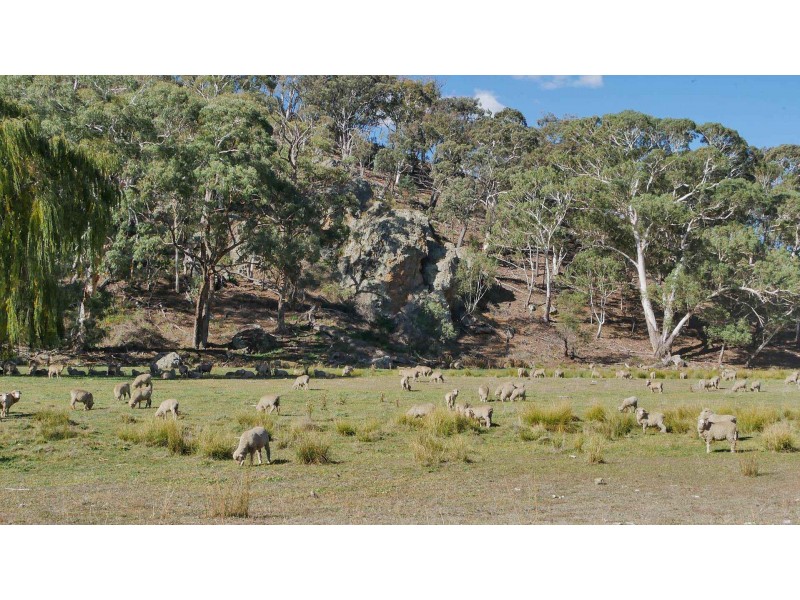 461 Warrangunia Road, Ilford NSW 2850