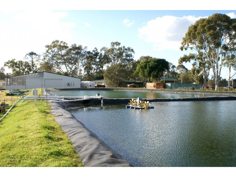 371 School Road, Palmers Island NSW 2463