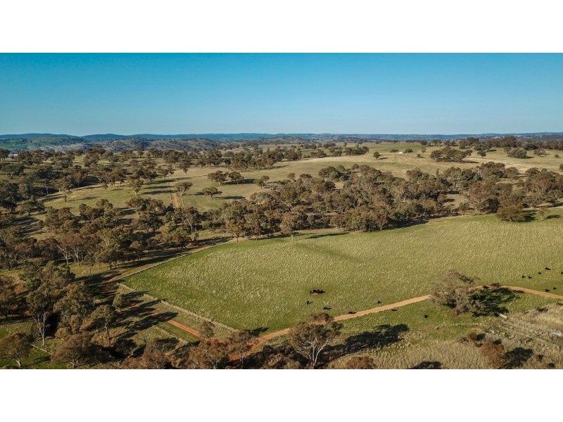 719 Amaroo Road, Borenore NSW 2800