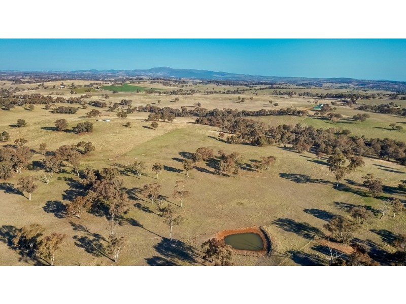 719 Amaroo Road, Borenore NSW 2800