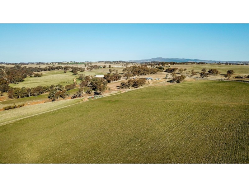 719 Amaroo Road, Borenore NSW 2800