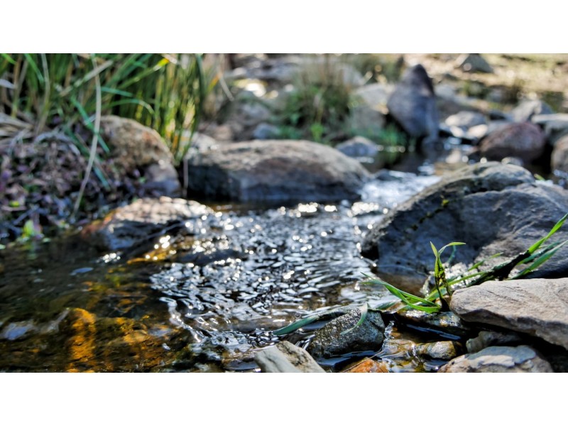 965 Clements Road, Woodstock NSW 2793