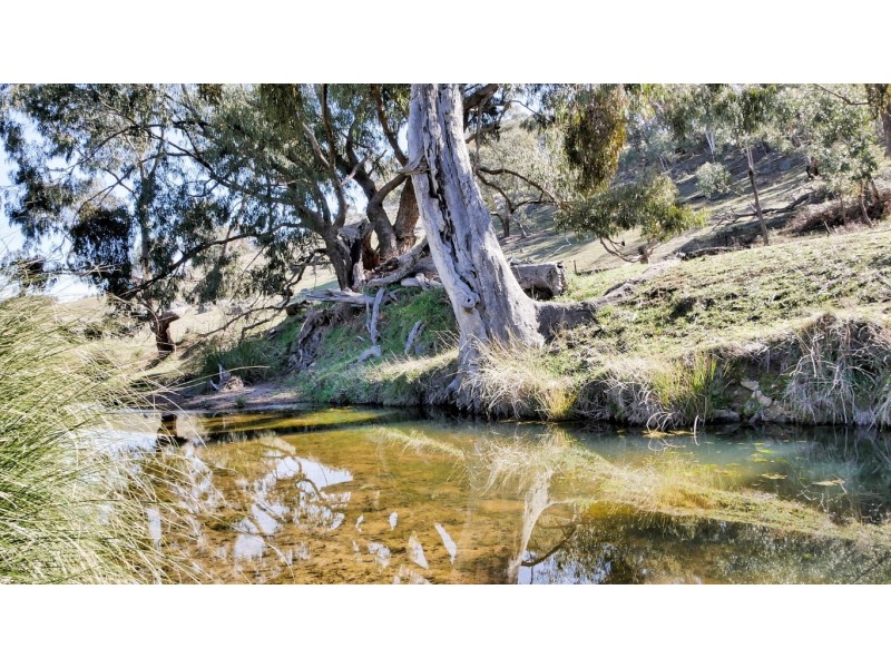 965 Clements Road, Woodstock NSW 2793