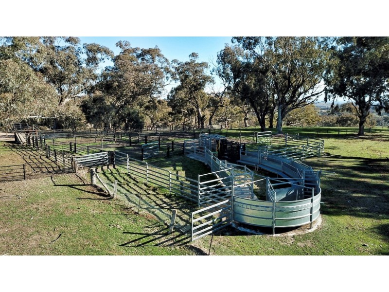 965 Clements Road, Woodstock NSW 2793