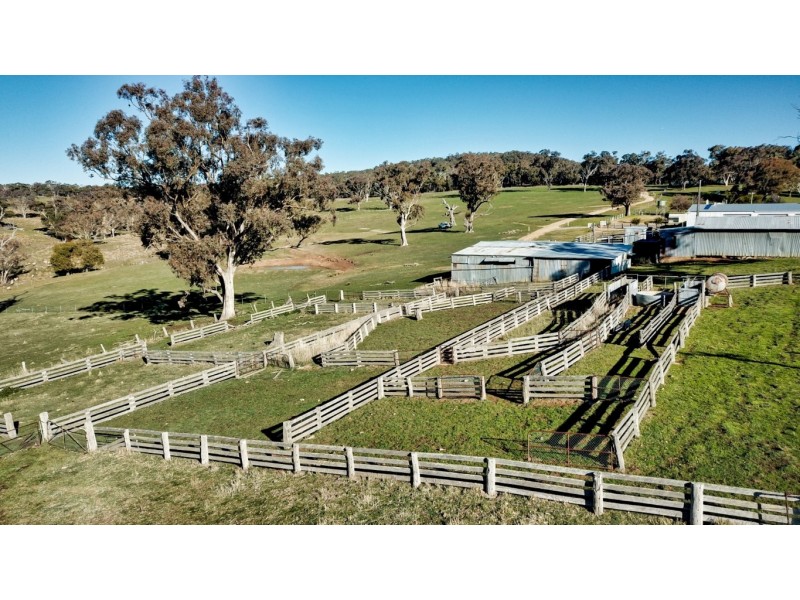 965 Clements Road, Woodstock NSW 2793