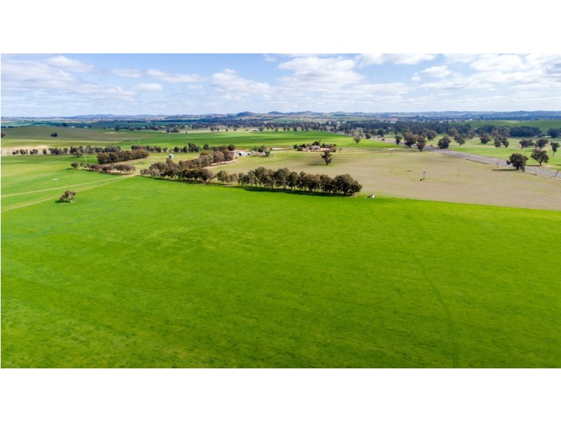 1375 Sturt Highway, Borambola NSW 2650