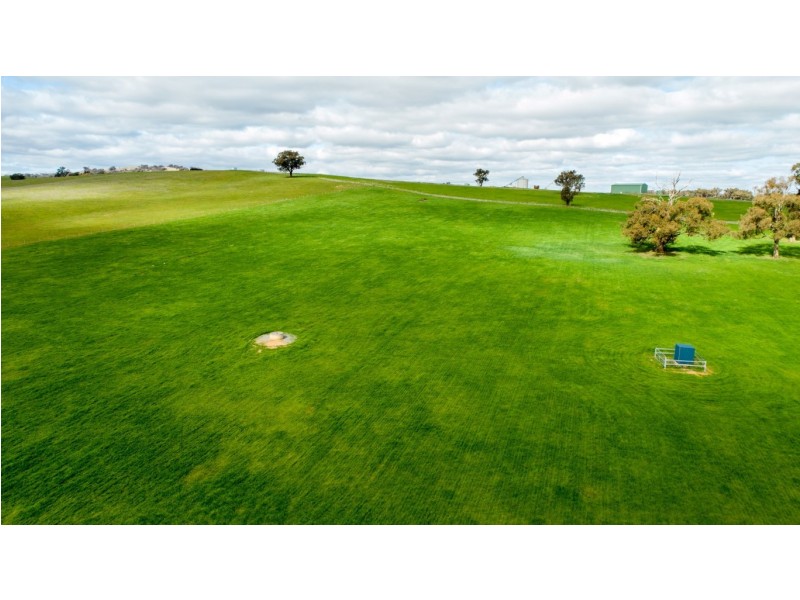 1375 Sturt Highway, Borambola NSW 2650