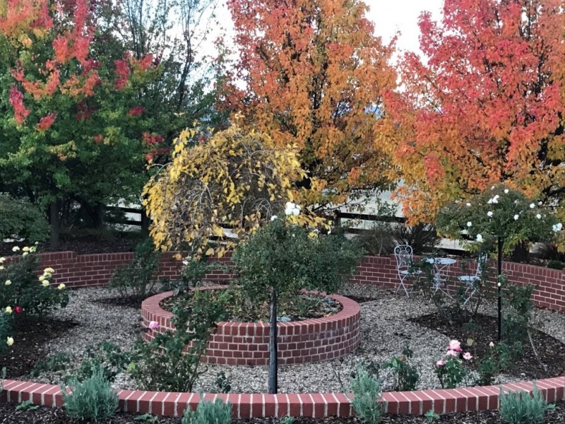 1375 Sturt Highway, Borambola NSW 2650