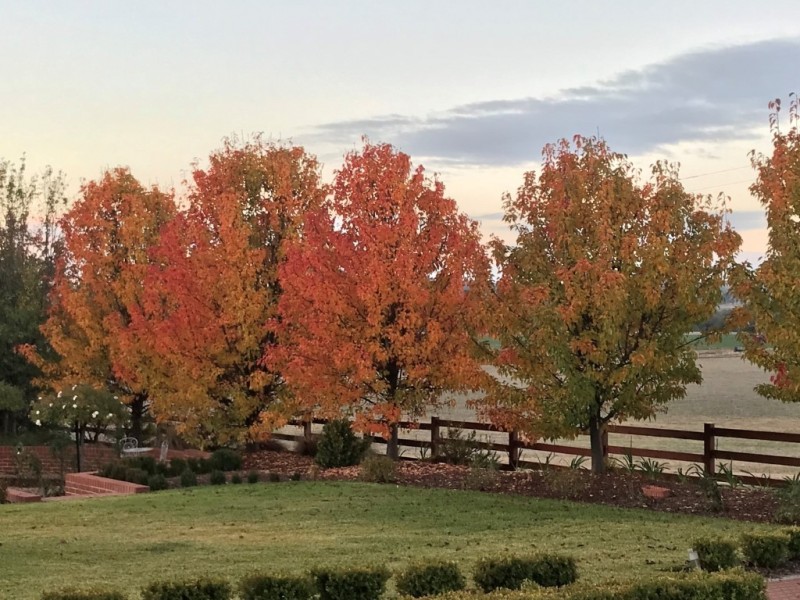 1375 Sturt Highway, Borambola NSW 2650