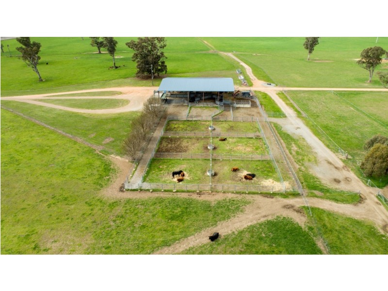 1375 Sturt Highway, Borambola NSW 2650