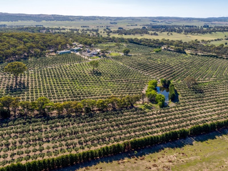 5796 Federal Highway, Collector NSW 2581