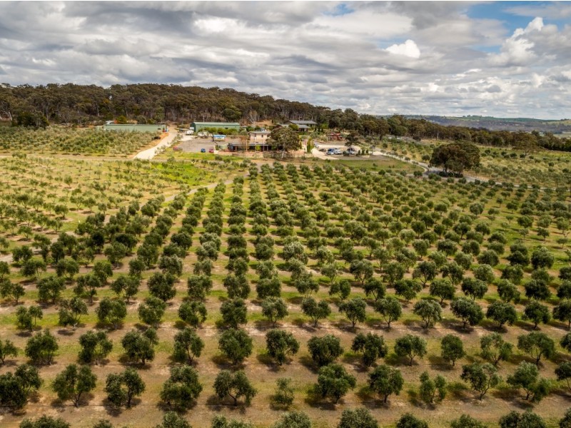 5796 Federal Highway, Collector NSW 2581