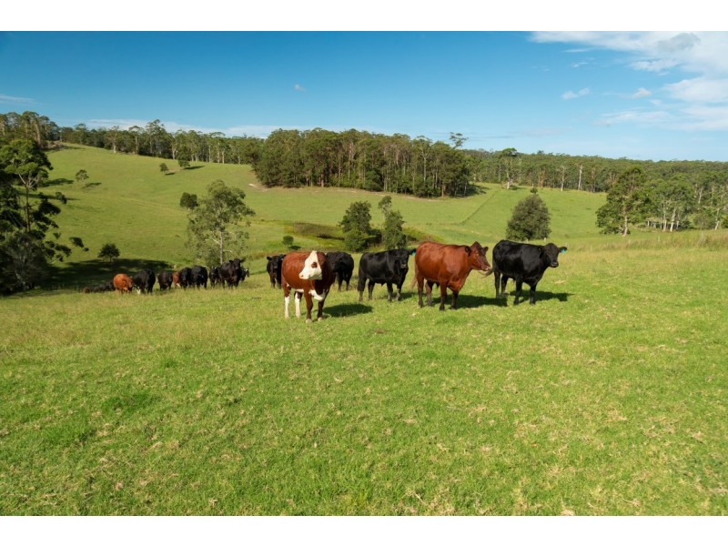 57 Hubbards Road North, Wootton NSW 2423