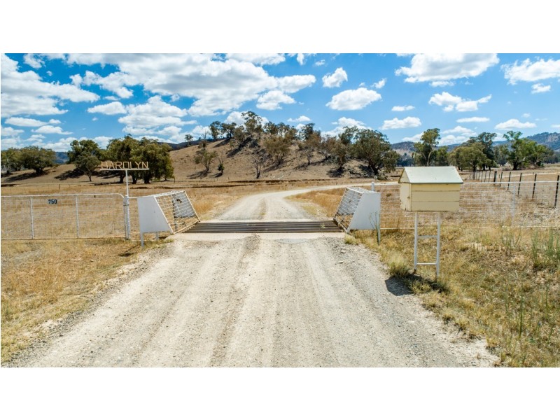 750 Oakhills Road, Nangus NSW 2722