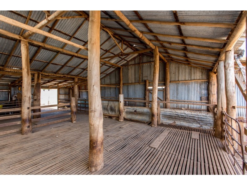 750 Oakhills Road, Nangus NSW 2722