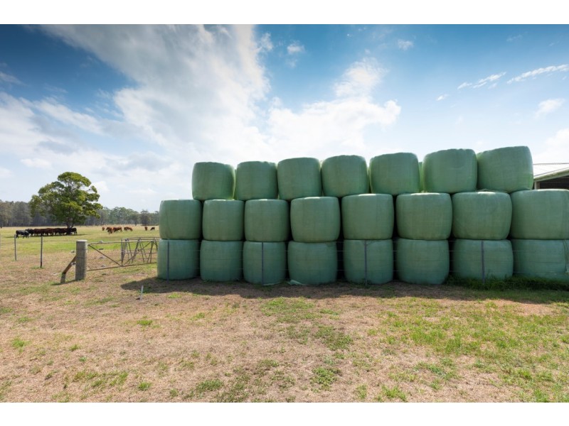 374 Elliots Road, Nabiac NSW 2312