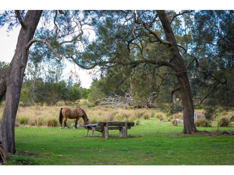 574 Bingi Road, Bingie NSW 2537