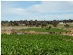 Bathurst NSW 2795
