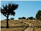Bathurst NSW 2795